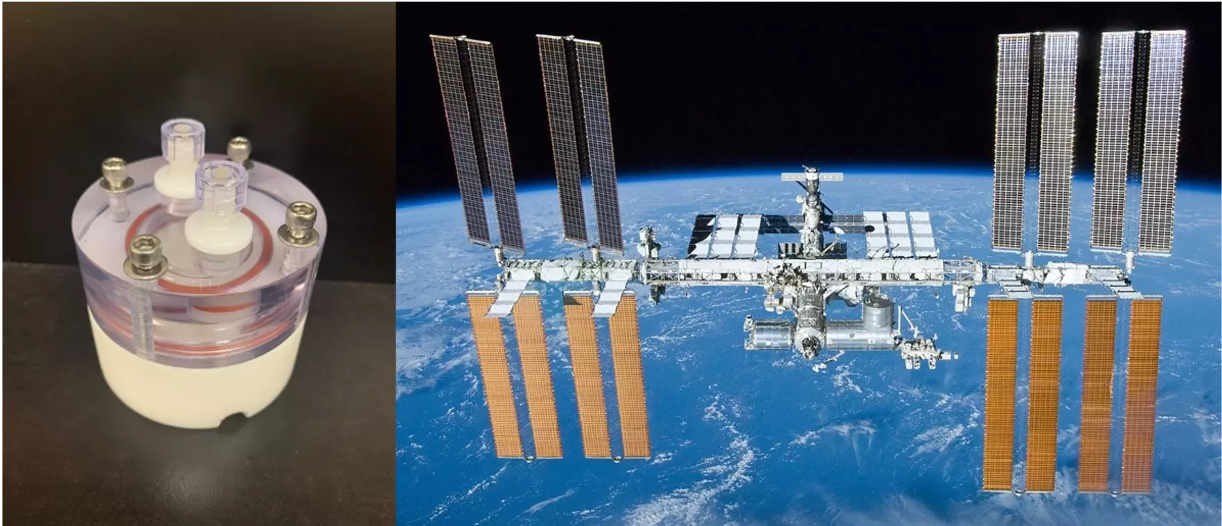 Image of International Space Station and Biofilm Reactor